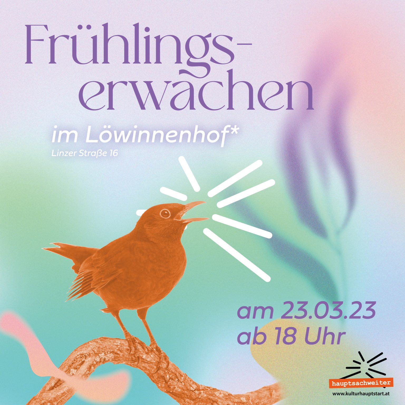 Frühlingserwachen im Löwinnenhof* - KulturhauptSTART 2024 St. Pölten